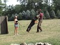 Schutzhund Koenig Bark and Hold 7.29