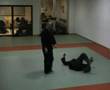 Bujinkan Brussels Ninpo Taijutsu - Some more Kihon gata...