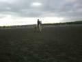 Clett on Masey .mp4