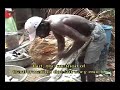 Haiti_Jacmel Journals_\"Cassava Making\" Video Report Haiti_Jacmel Journals_\"Cassava Making\" Video Report