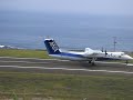 DHC-8 Q300　三宅島空港に着陸