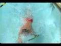 Freestyle swim demo
