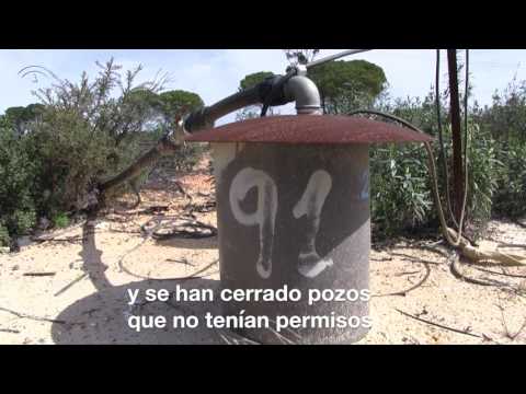 Doñana: Ciclo Natural del Agua
