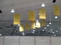videos de roald2.wmv