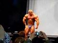 Dennis-Wolf-FIBO-200