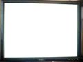 eVGA 8800GTS 320MB Boot Issue - Vista 32bit / ASUS P5LD2