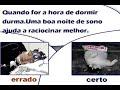 curso aprovação   dicas simples