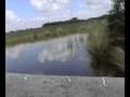 videos de Everglades by Airboat