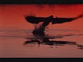 XIV dark centuries - falsche propheten XIV dark centuries - falsche propheten