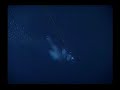 World Record Deepest Dive 318,25 m Nuno Gomes 