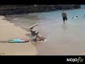 El video mas visto