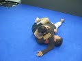 Get our Free technique EBook here. Downloads in less than 30 seconds www.ilovebjj.com