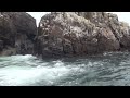 Islas palomino parte 4