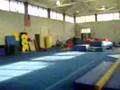 Harrison Park Gymnast