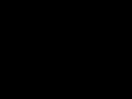 sobrevire