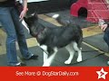 See video