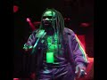 BushMan \