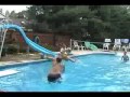 Playing in the Pool