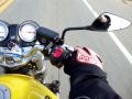 HORNET 600cc ON BOARD
