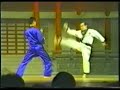 Master Teruyuki Kiga - Kumite Free Fighting Demo Master Teruyuki Kiga - Kumite Free Fighting Demo