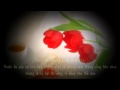 Một chút cho tình yêu..... - Hạt Giống Tâm Hồn-Hgth.net.flv