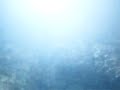 closeup turtle feeding vertical.AVI