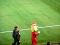 videos de Mr Tayto Northern Ireland Hungary football Windsor park Belfast