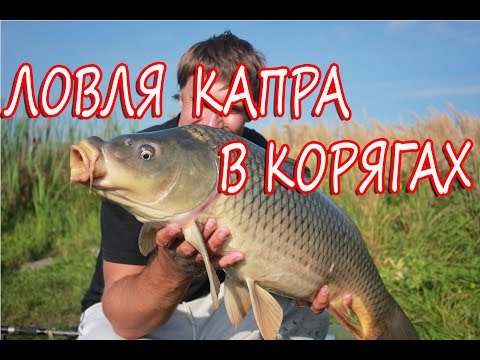 снасть для ловли карпа в корягах снасть для ловли карпа в корягах