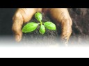 trailer Bewegende Beelden.flv.avi trailer Bewegende Beelden.flv.avi