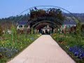 Monet\
