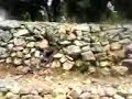 villa roumania mutu 68