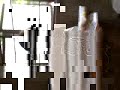 bots n porots