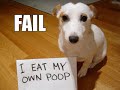 the-problem-with-mririan.html