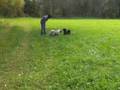tibis beim laufen