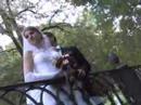  - videoclip