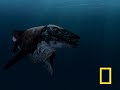sea monsters 2