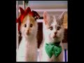 Fatboy Slim - The Jocker