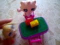 mis pet shop