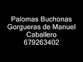 Semilleros  de Manuel Caballero