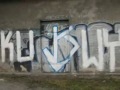 Wirek 100% KSG