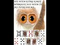 CZARY MARY zapraszam na sztuczk? magiczn?!!! CZARY MARY zapraszam na sztuczk? magiczn?!!!