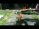 OFFICAL Timuffy 3 Teaser