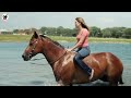 Horse | horse meeting | horse video