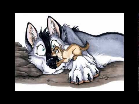 What is a furry?