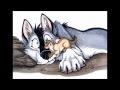 What is a furry?