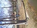 jump the brook