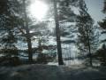 Winther Wonderland