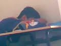 piras ke dorme piras ke dorme