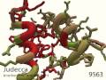 104: Helices Out of Place 104: Helices Out of Place