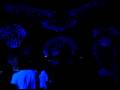 videos de Khopat live Manchester Paradigm Shift 29 November